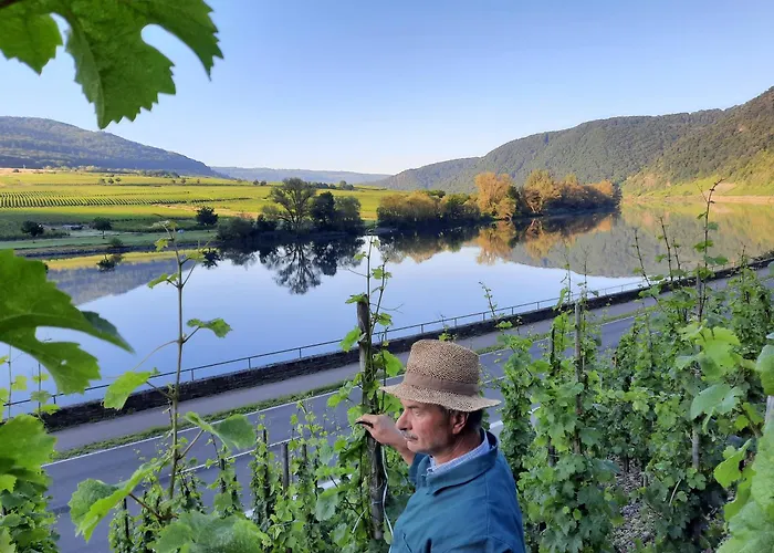 Ferienweingut Gerhard Lenz