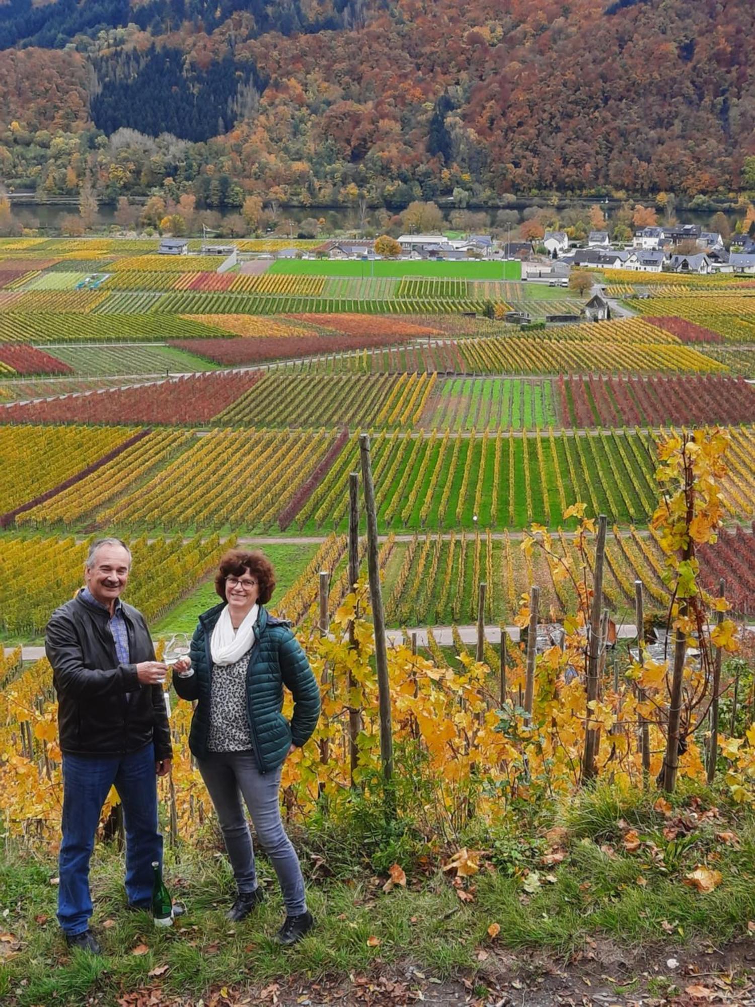 Ferienweingut Gerhard Lenz Ellenz-Poltersdorf