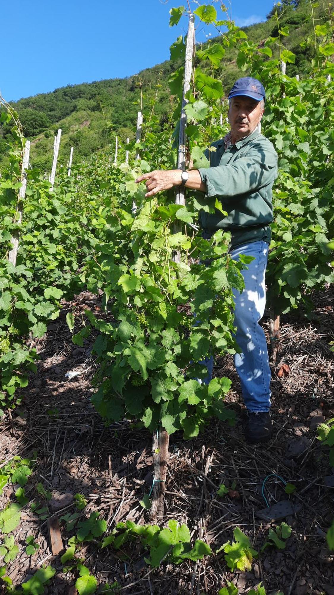 Ferienweingut Gerhard Lenz *