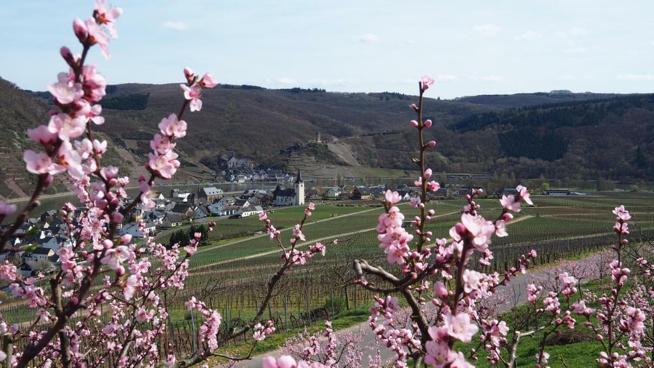 Ferienweingut Gerhard Lenz * Ellenz-Poltersdorf